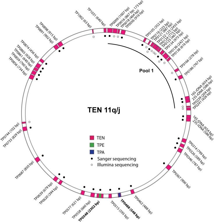 https://cdn.ncbi.nlm.nih.gov/pmc/blobs/fe79/5354452/e529a2ad0209/pntd.0005434.g001.jpg
