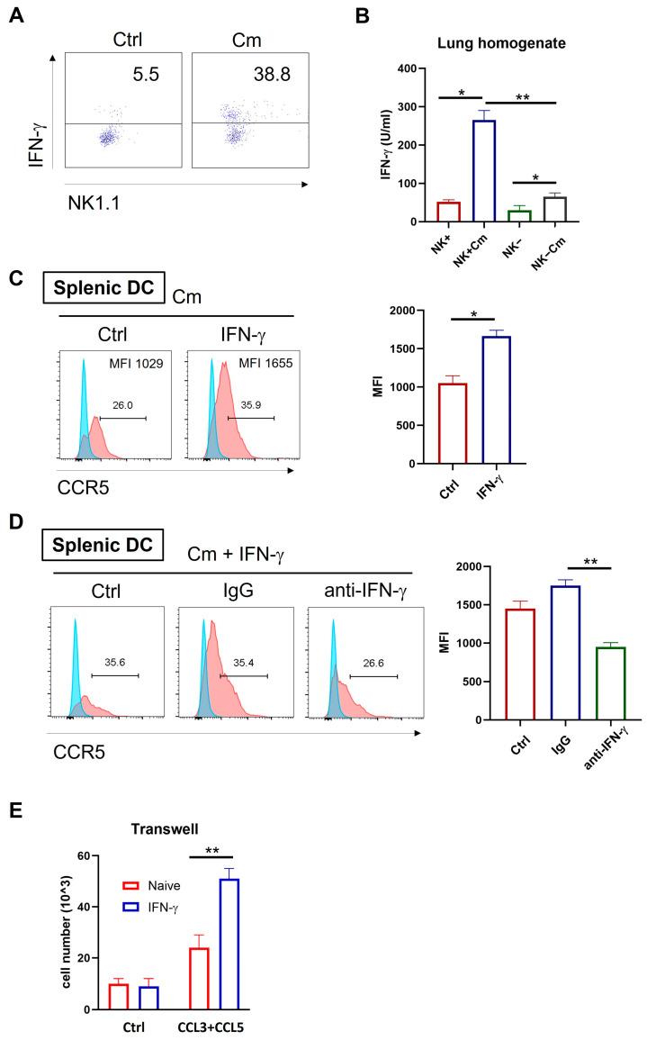 https://cdn.ncbi.nlm.nih.gov/pmc/blobs/fe7a/12028113/111332259040/ijms-26-03769-g006.jpg