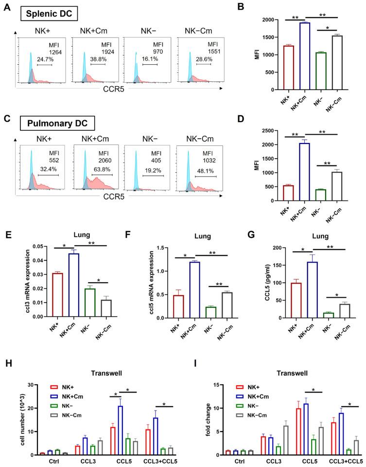 https://cdn.ncbi.nlm.nih.gov/pmc/blobs/fe7a/12028113/510db8f7c49b/ijms-26-03769-g005.jpg