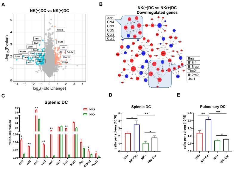 https://cdn.ncbi.nlm.nih.gov/pmc/blobs/fe7a/12028113/8c87d5c76f83/ijms-26-03769-g004.jpg