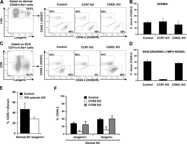 https://cdn.ncbi.nlm.nih.gov/pmc/blobs/fe7b/2150983/506b2f0b3d43/jem2043133f05.jpg