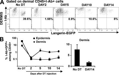 https://cdn.ncbi.nlm.nih.gov/pmc/blobs/fe7b/2150983/a89be1868825/jem2043133f02.jpg