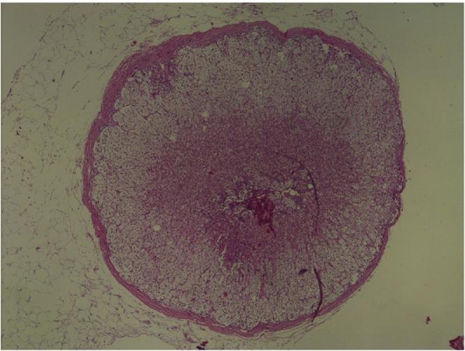 https://cdn.ncbi.nlm.nih.gov/pmc/blobs/fe7b/5350495/1819d9507ebd/gr1.jpg