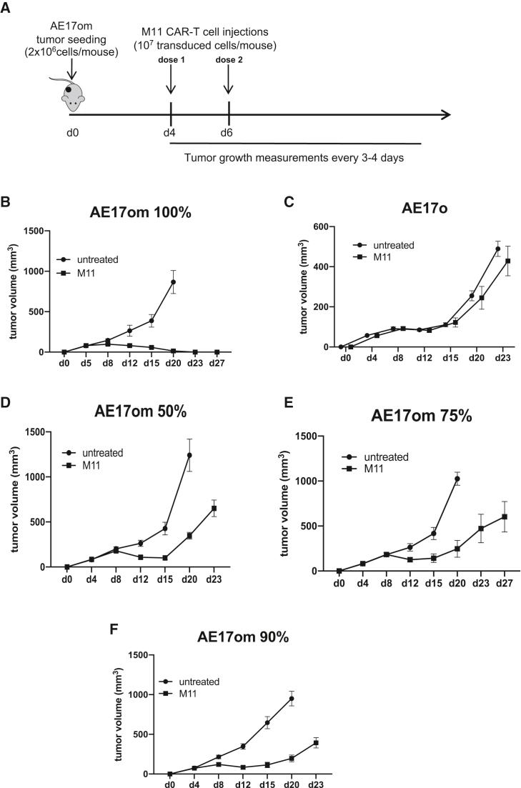 https://cdn.ncbi.nlm.nih.gov/pmc/blobs/fe7c/7417672/a4e83bce1c82/gr1.jpg