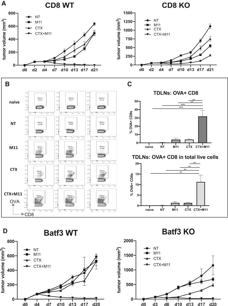 https://cdn.ncbi.nlm.nih.gov/pmc/blobs/fe7c/7417672/f4cc95172a73/gr5.jpg