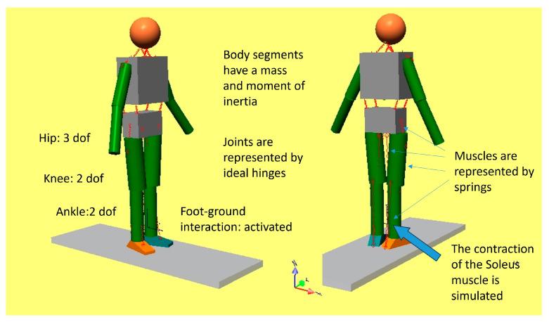 https://cdn.ncbi.nlm.nih.gov/pmc/blobs/fe7d/10813783/5c10b86cfff2/bioengineering-11-00041-g002.jpg