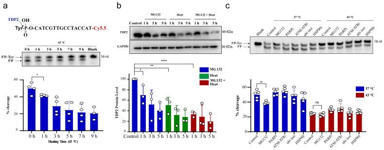 https://cdn.ncbi.nlm.nih.gov/pmc/blobs/fe7d/8151962/2bb6afc27321/cancers-13-02315-g002.jpg