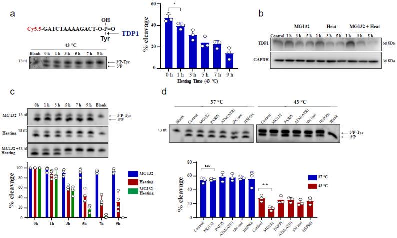 https://cdn.ncbi.nlm.nih.gov/pmc/blobs/fe7d/8151962/359ce919020f/cancers-13-02315-g001.jpg