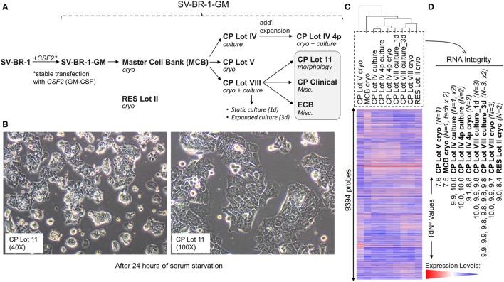 https://cdn.ncbi.nlm.nih.gov/pmc/blobs/fe81/5962696/86adfdf1f80b/fimmu-09-00776-g001.jpg