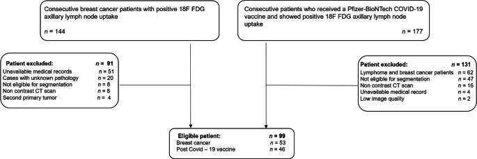 https://cdn.ncbi.nlm.nih.gov/pmc/blobs/fe81/8985565/ab6c94ac0b9e/330_2022_8725_Fig2_HTML.jpg