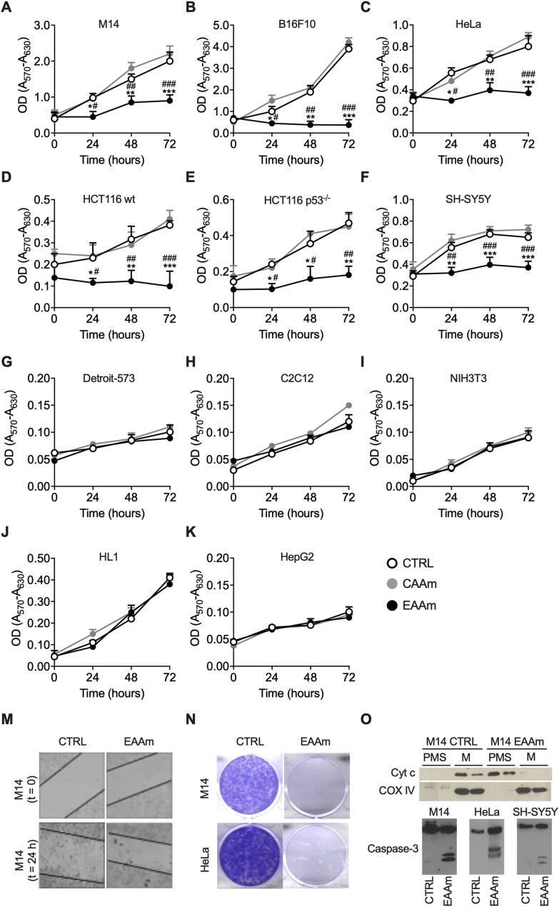 https://cdn.ncbi.nlm.nih.gov/pmc/blobs/fe81/9014392/b6ea2335de0d/gr2.jpg