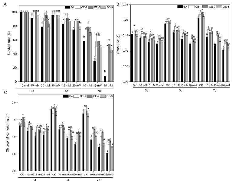 https://cdn.ncbi.nlm.nih.gov/pmc/blobs/fe82/11207436/28127daac24d/plants-13-01713-g002.jpg