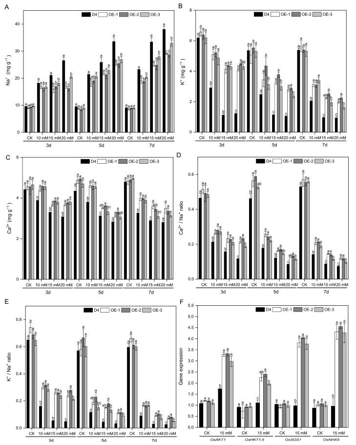 https://cdn.ncbi.nlm.nih.gov/pmc/blobs/fe82/11207436/efa9bddfc827/plants-13-01713-g005.jpg