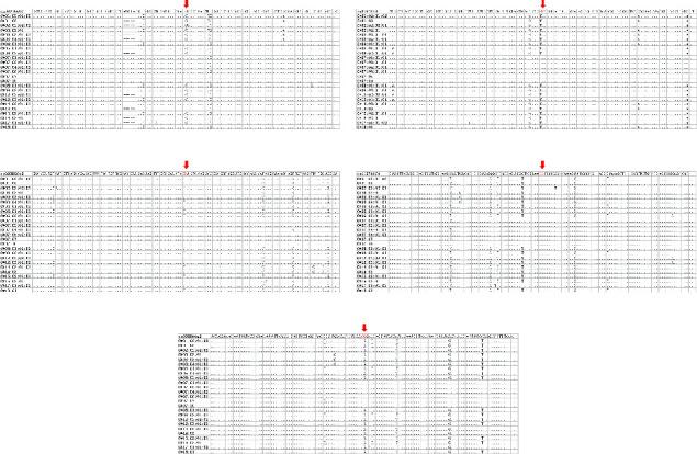 https://cdn.ncbi.nlm.nih.gov/pmc/blobs/fe84/10039806/432c4e81d418/IJCLP2023-2291156.002.jpg
