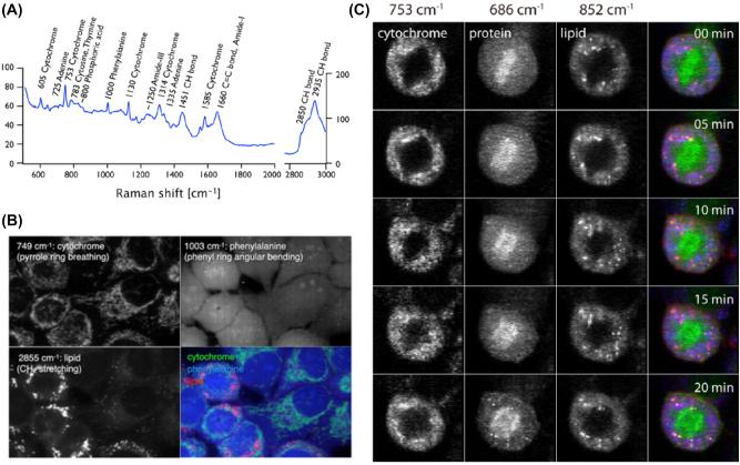 https://cdn.ncbi.nlm.nih.gov/pmc/blobs/fe8a/11636400/4b51cc8cead8/j_nanoph-2023-0362_fig_001.jpg