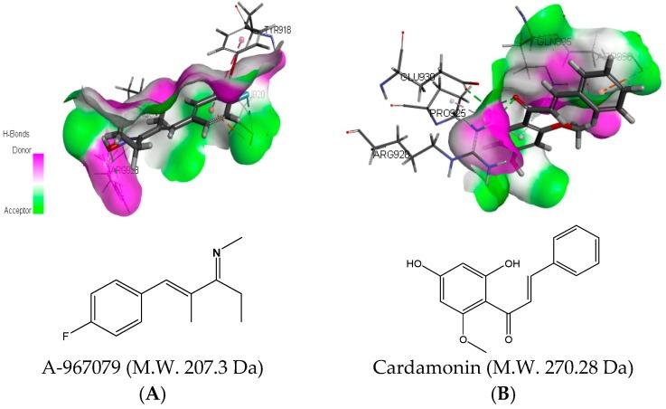 https://cdn.ncbi.nlm.nih.gov/pmc/blobs/fe8a/6274095/e531888e35cf/molecules-21-01145-g005.jpg