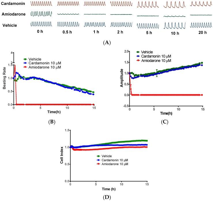 https://cdn.ncbi.nlm.nih.gov/pmc/blobs/fe8a/6274095/fd2ba6134e1d/molecules-21-01145-g007.jpg