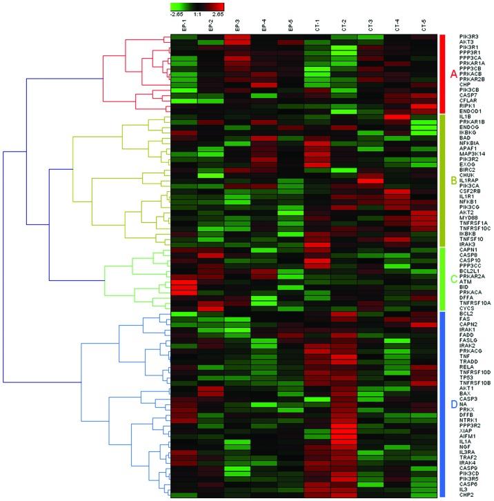 https://cdn.ncbi.nlm.nih.gov/pmc/blobs/fe8d/4121356/241f42c256eb/IJMM-34-03-0715-g00.jpg