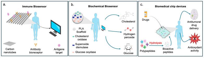 https://cdn.ncbi.nlm.nih.gov/pmc/blobs/fe8e/11476540/808af765891a/ijms-25-10386-g003.jpg
