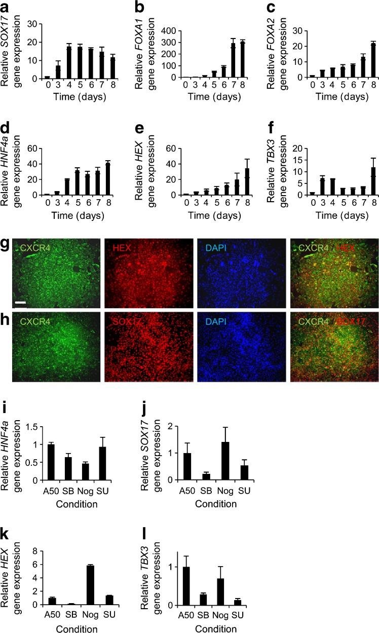 https://cdn.ncbi.nlm.nih.gov/pmc/blobs/fe8f/3483105/688014a6d292/125_2012_2687_Fig4_HTML.jpg