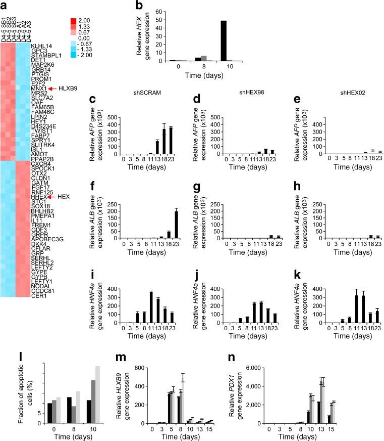 https://cdn.ncbi.nlm.nih.gov/pmc/blobs/fe8f/3483105/6d96408bf417/125_2012_2687_Fig6_HTML.jpg