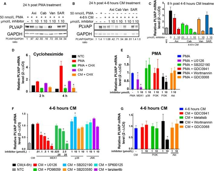 https://cdn.ncbi.nlm.nih.gov/pmc/blobs/fe8f/6349158/875550e79c77/JCMM-23-920-g006.jpg
