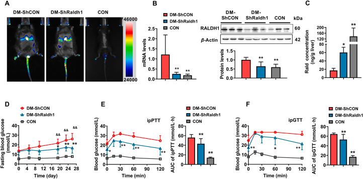 https://cdn.ncbi.nlm.nih.gov/pmc/blobs/fe91/10501888/d54bba666f2b/gr2.jpg