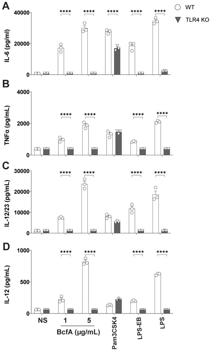https://cdn.ncbi.nlm.nih.gov/pmc/blobs/fe92/11390363/560c66d42663/fimmu-15-1439418-g002.jpg