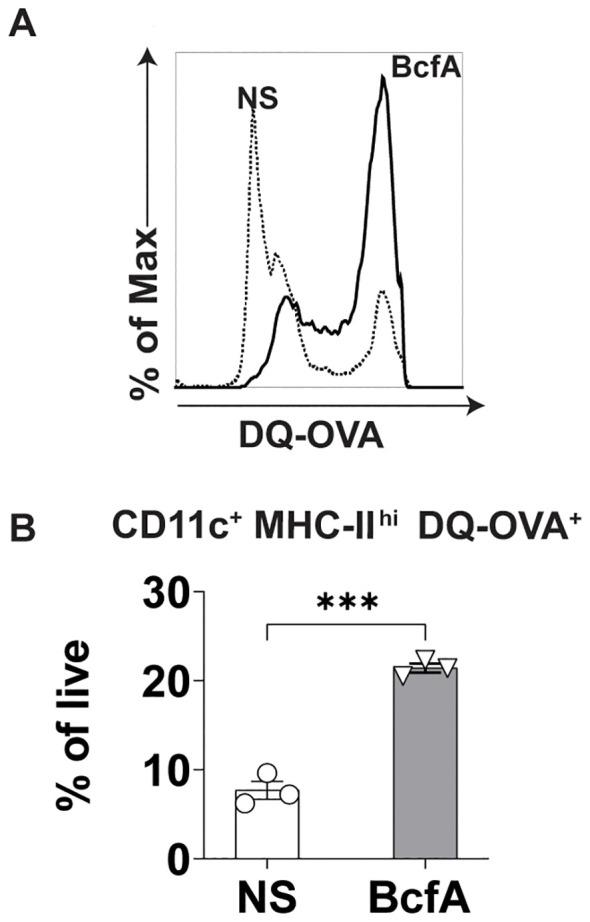 https://cdn.ncbi.nlm.nih.gov/pmc/blobs/fe92/11390363/c43d5b7f8ddf/fimmu-15-1439418-g004.jpg
