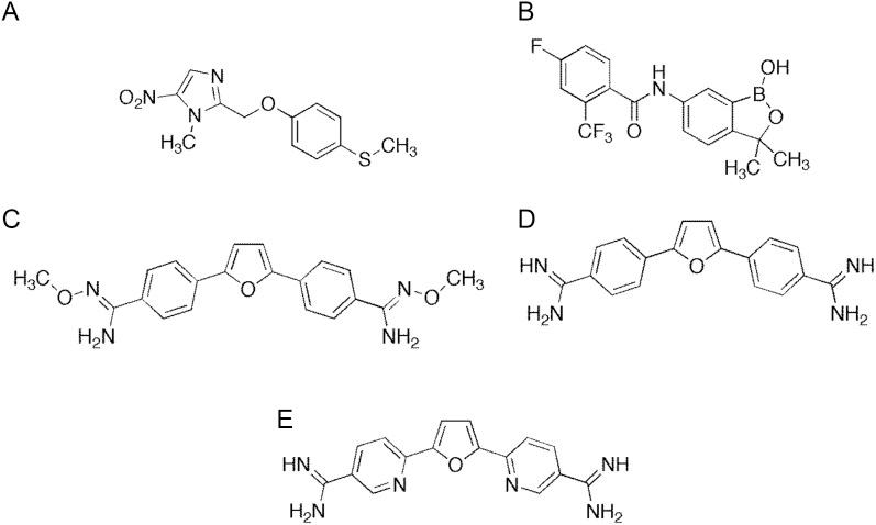 https://cdn.ncbi.nlm.nih.gov/pmc/blobs/fe93/3530408/0029e592d136/lds03103.jpg