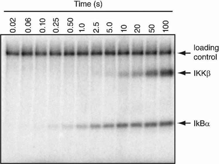 https://cdn.ncbi.nlm.nih.gov/pmc/blobs/fe93/9843440/d30865825f7e/gr2.jpg