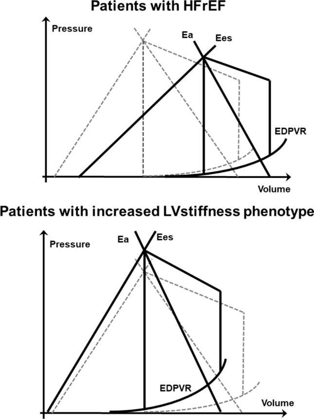 https://cdn.ncbi.nlm.nih.gov/pmc/blobs/fe93/9849322/7aaa574e7399/392_2022_2041_Fig7_HTML.jpg