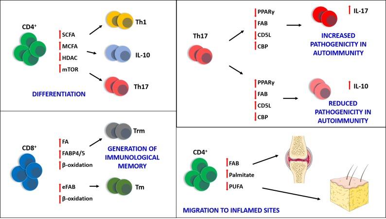 https://cdn.ncbi.nlm.nih.gov/pmc/blobs/fe94/6946016/53bf9c93b7e0/ces-04-009-g001.jpg
