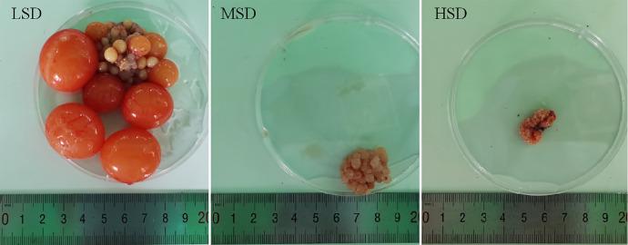 https://cdn.ncbi.nlm.nih.gov/pmc/blobs/fe96/8968648/d8b8a804fd0b/gr1.jpg