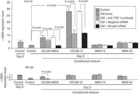 https://cdn.ncbi.nlm.nih.gov/pmc/blobs/fe98/3185946/98ab8b4f2229/bjc2011330f4.jpg