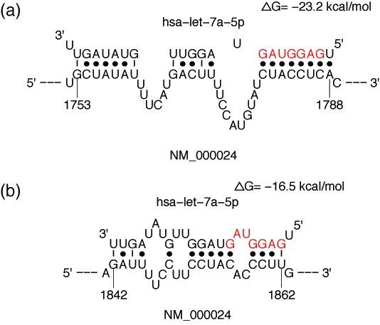 https://cdn.ncbi.nlm.nih.gov/pmc/blobs/fe99/4086099/d30d65cc60aa/gku376fig3.jpg
