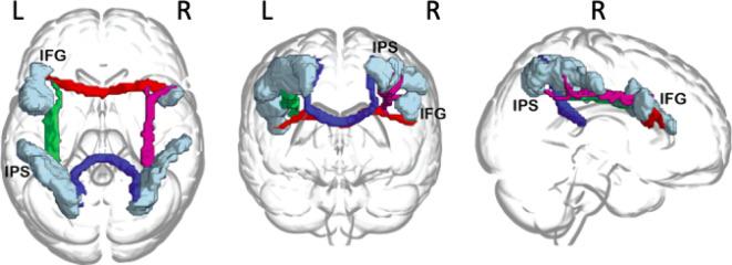 https://cdn.ncbi.nlm.nih.gov/pmc/blobs/fe9a/12144249/71fbb1bcc9f6/41598_2025_2326_Fig2_HTML.jpg