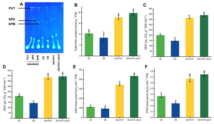https://cdn.ncbi.nlm.nih.gov/pmc/blobs/fe9a/12401919/e37a334ab16d/fpls-16-1630837-g006.jpg