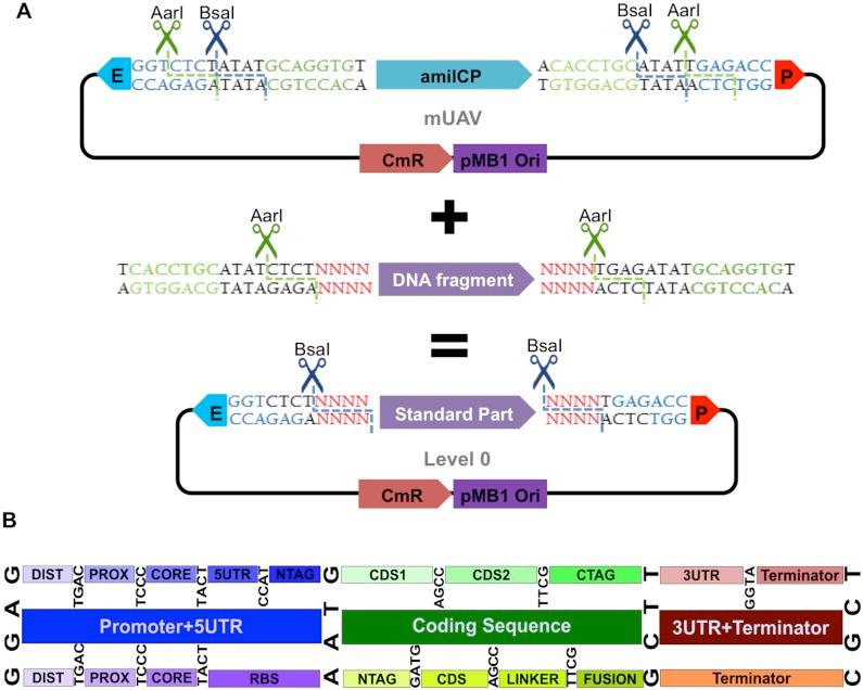 https://cdn.ncbi.nlm.nih.gov/pmc/blobs/fe9b/5749717/a4e904ab8086/pone.0189892.g001.jpg