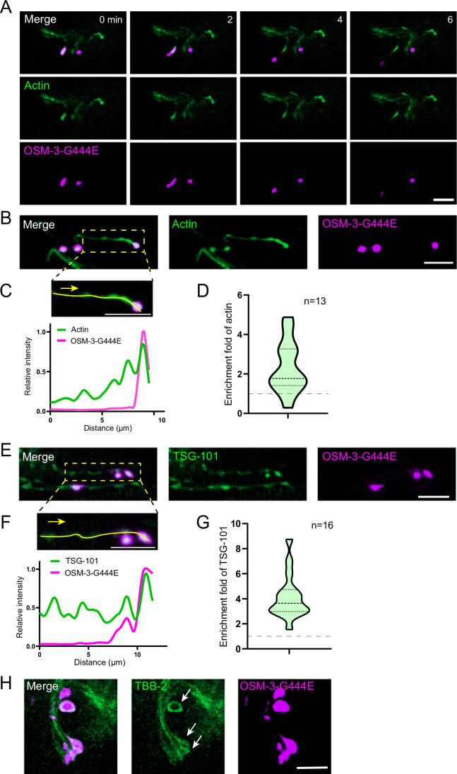https://cdn.ncbi.nlm.nih.gov/pmc/blobs/fe9d/11217292/3befe3c203ab/44318_2024_118_Fig10_ESM.jpg