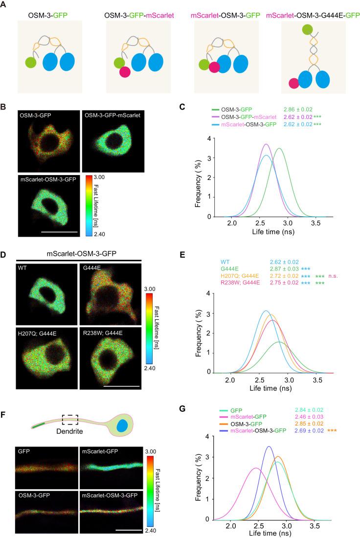 https://cdn.ncbi.nlm.nih.gov/pmc/blobs/fe9d/11217292/4440498c60b1/44318_2024_118_Fig6_HTML.jpg