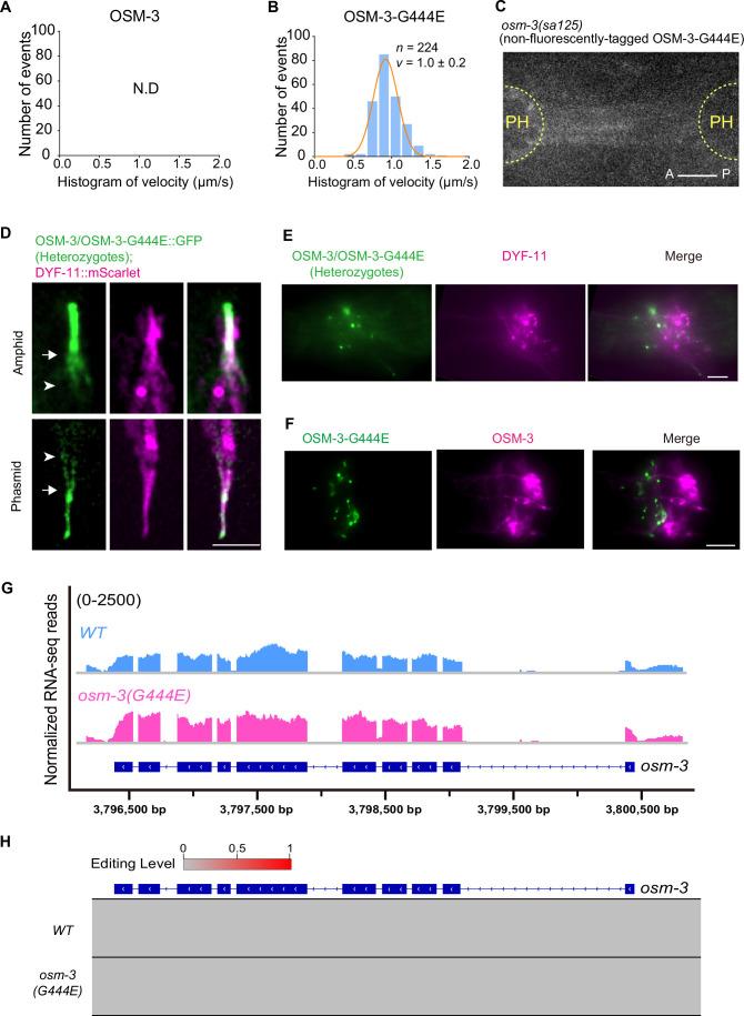 https://cdn.ncbi.nlm.nih.gov/pmc/blobs/fe9d/11217292/b3e9f7e5c5de/44318_2024_118_Fig8_ESM.jpg