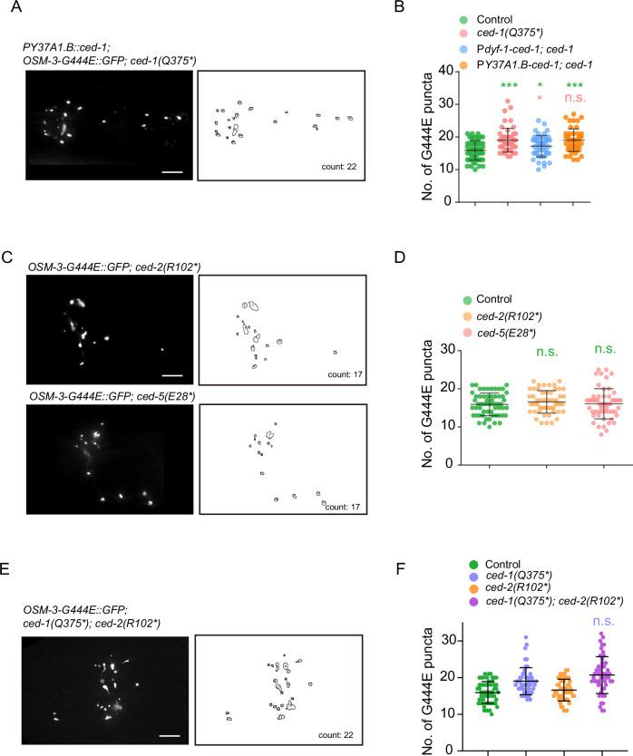 https://cdn.ncbi.nlm.nih.gov/pmc/blobs/fe9d/11217292/ba63530e36cc/44318_2024_118_Fig11_ESM.jpg