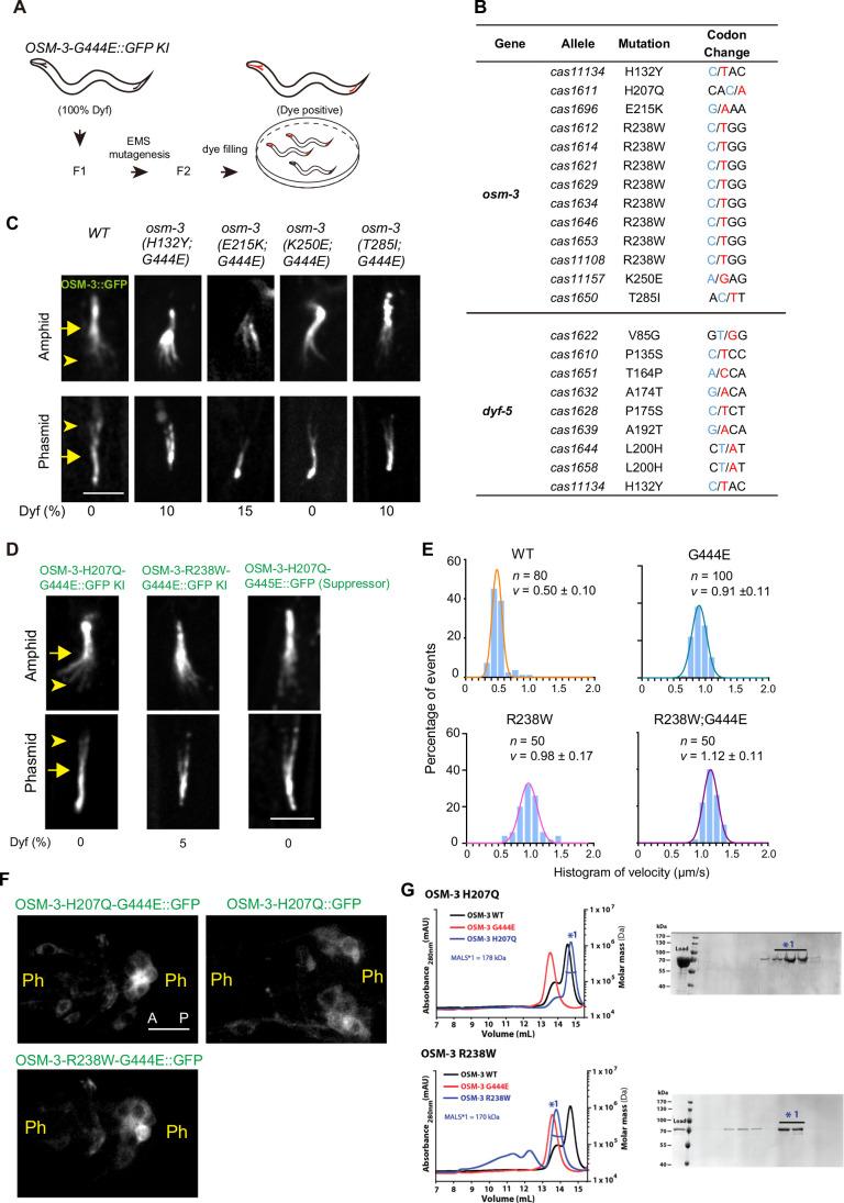 https://cdn.ncbi.nlm.nih.gov/pmc/blobs/fe9d/11217292/da198f75d5bd/44318_2024_118_Fig12_ESM.jpg