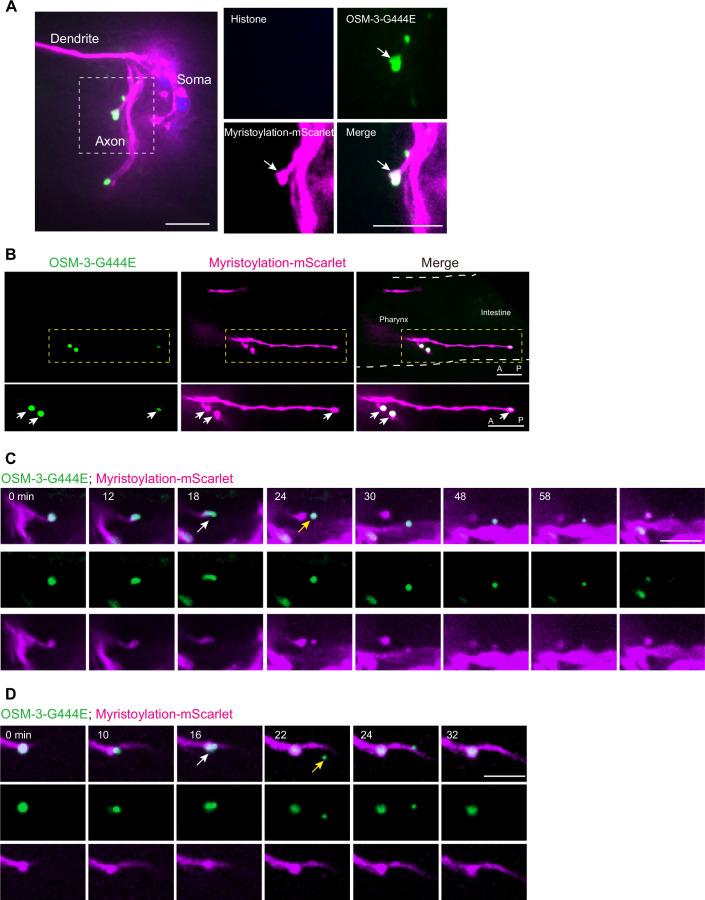 https://cdn.ncbi.nlm.nih.gov/pmc/blobs/fe9d/11217292/fbed37b7b7ca/44318_2024_118_Fig9_ESM.jpg