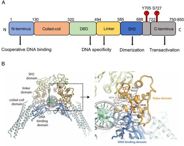 https://cdn.ncbi.nlm.nih.gov/pmc/blobs/fe9d/8942302/65e943001447/MCO2-3-e124-g007.jpg