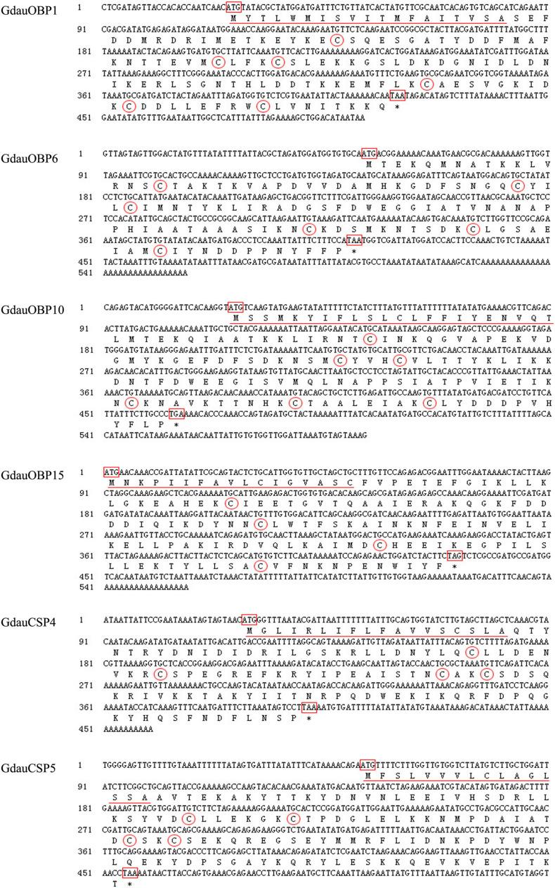 https://cdn.ncbi.nlm.nih.gov/pmc/blobs/fea0/8221581/36fa36182528/fphys-12-678698-g001.jpg