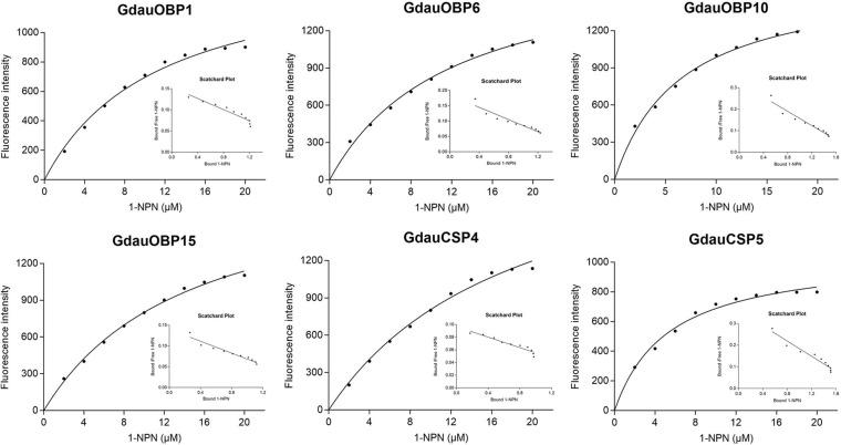 https://cdn.ncbi.nlm.nih.gov/pmc/blobs/fea0/8221581/6296c44fa0c9/fphys-12-678698-g003.jpg
