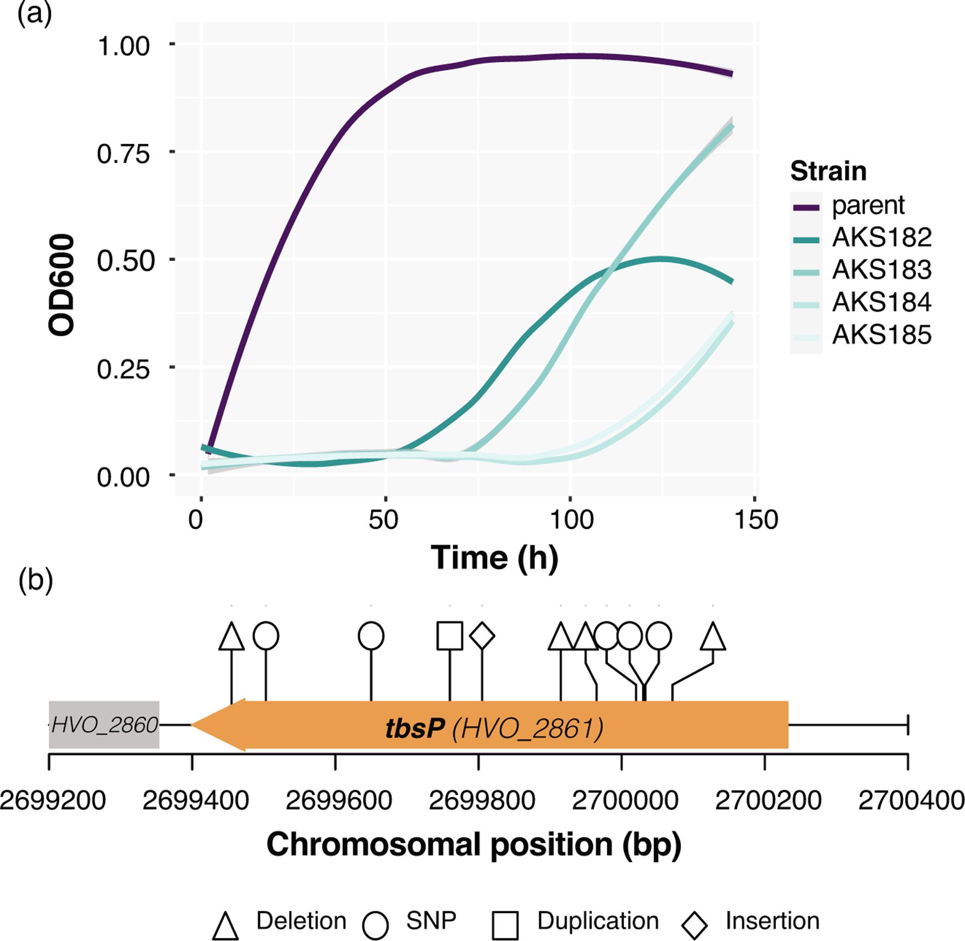 https://cdn.ncbi.nlm.nih.gov/pmc/blobs/fea1/11023807/84ceed41ef52/nihms-1962767-f0003.jpg