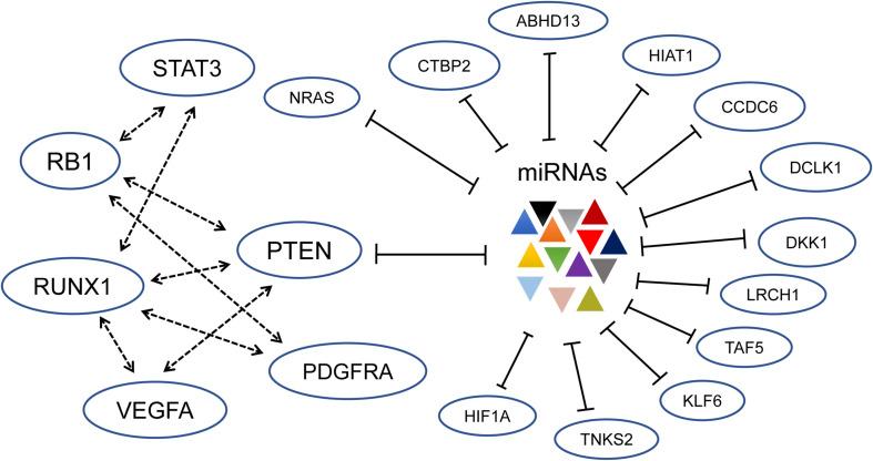 https://cdn.ncbi.nlm.nih.gov/pmc/blobs/fea1/8117106/d98bcf8ed647/fgene-12-675498-g001.jpg